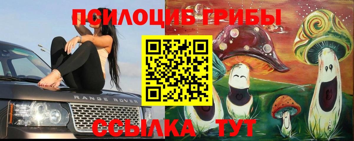 Псилоцибиновые грибы мицелий  Вход с VPN  купить   Владивосток  Галлюциногенные грибы ЛСД 