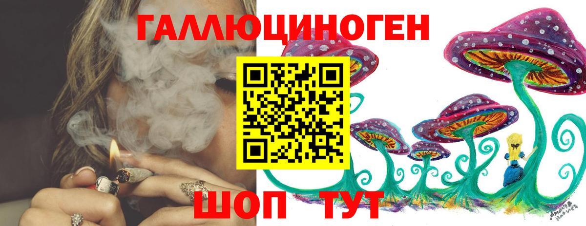 Псилоцибиновые грибы Cubensis Владивосток